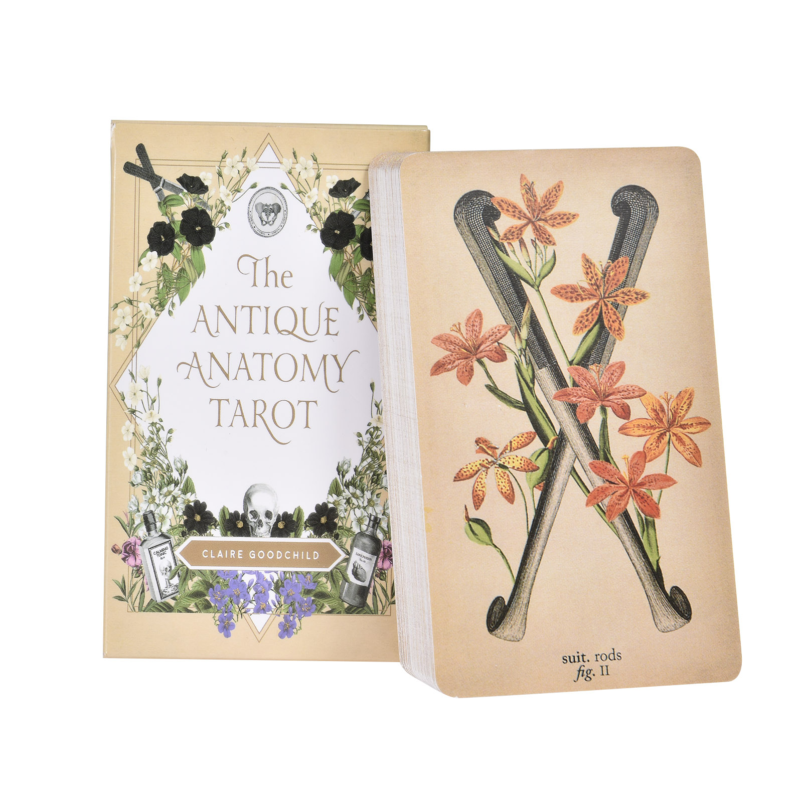 Board Game Pdf - Karty Tarota „Antyczna Anatomia” – wersja